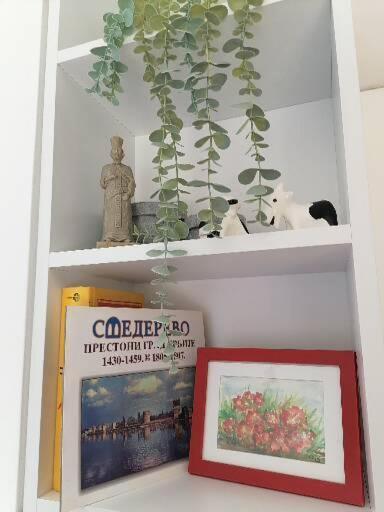 Anka Apartman Smederevo Exterior photo